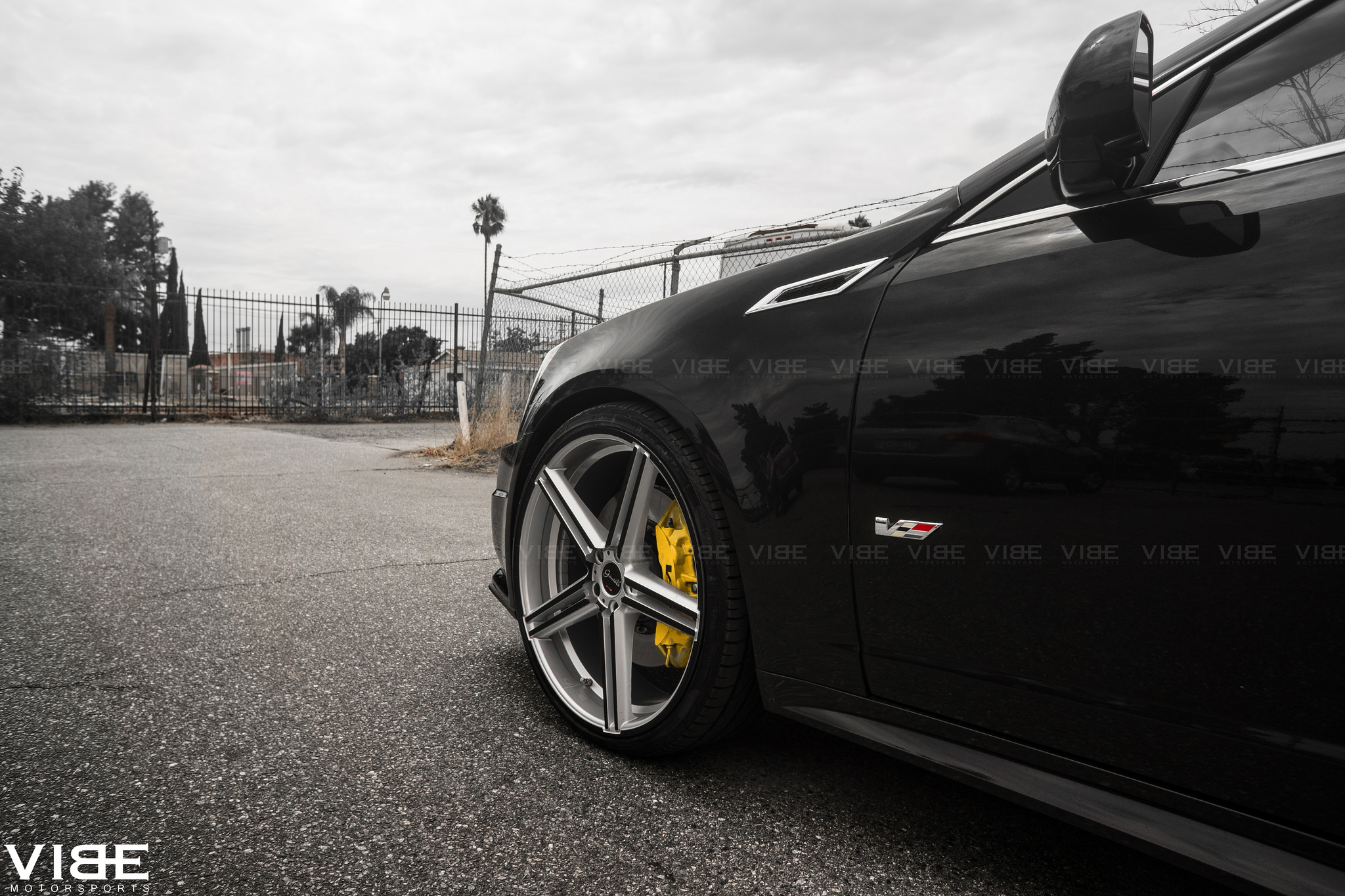 Gianelle Lucca Silver Black on Cadillac CTS